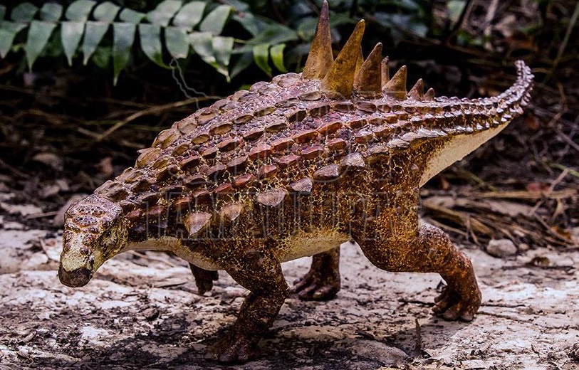 Restos-de-Acantholipan-gonzalezi